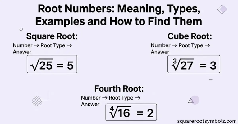 Root Numbers