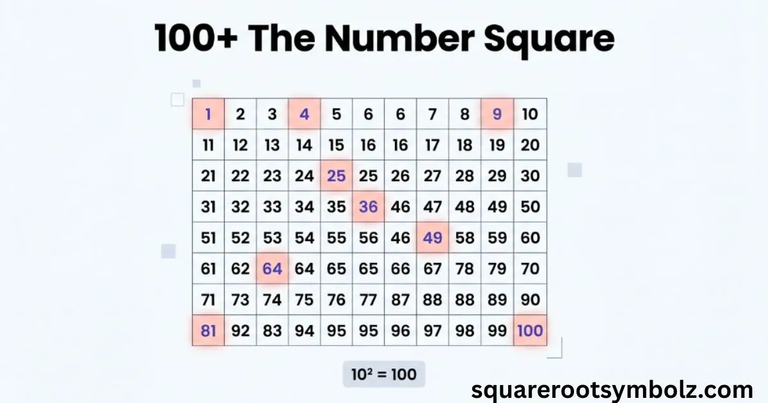 The Number Square