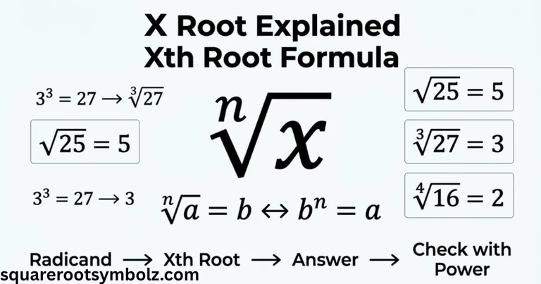 X Root